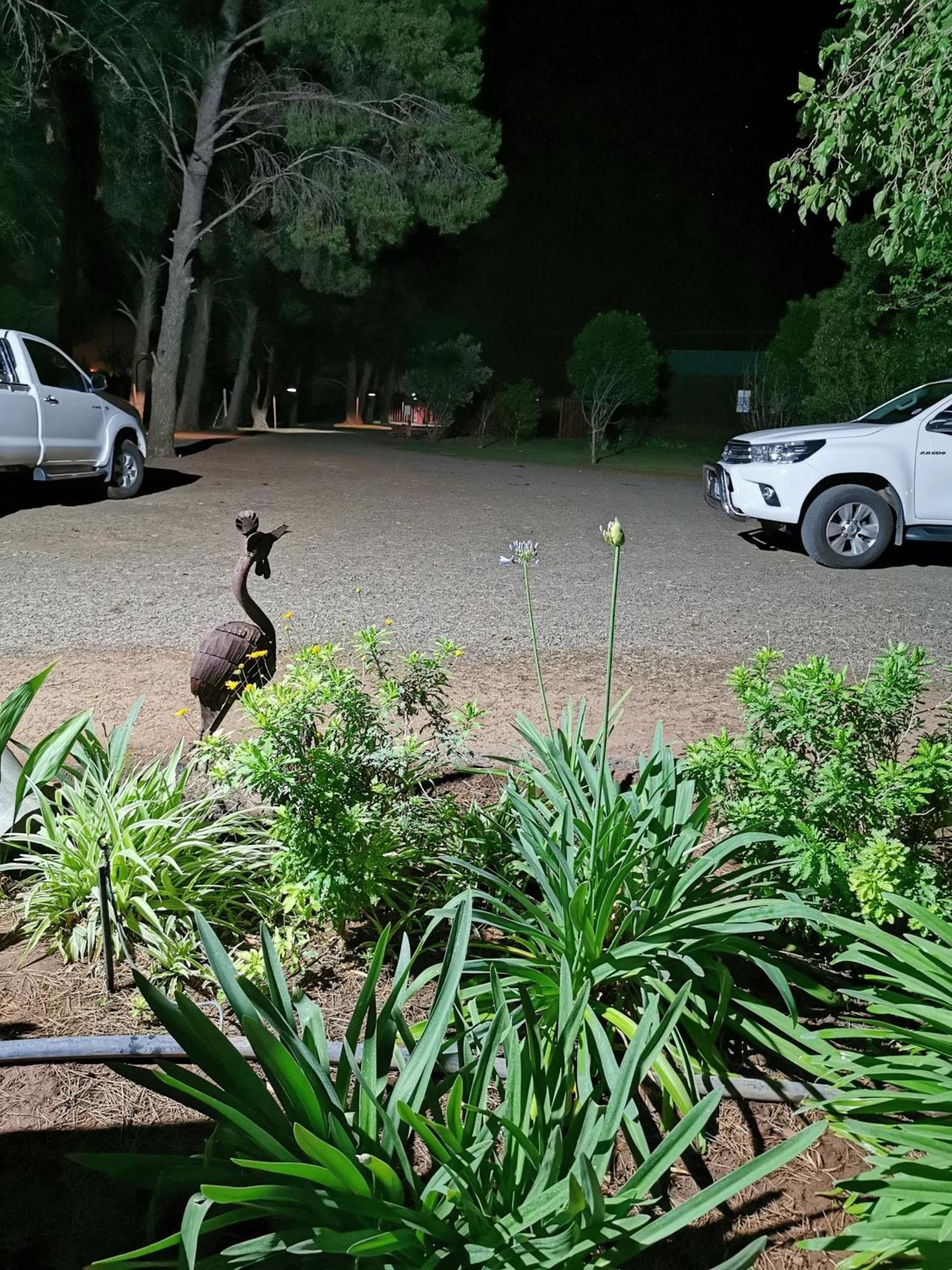 A Cherry Lane Self Catering And B&B Bloemfontein Zewnętrze zdjęcie