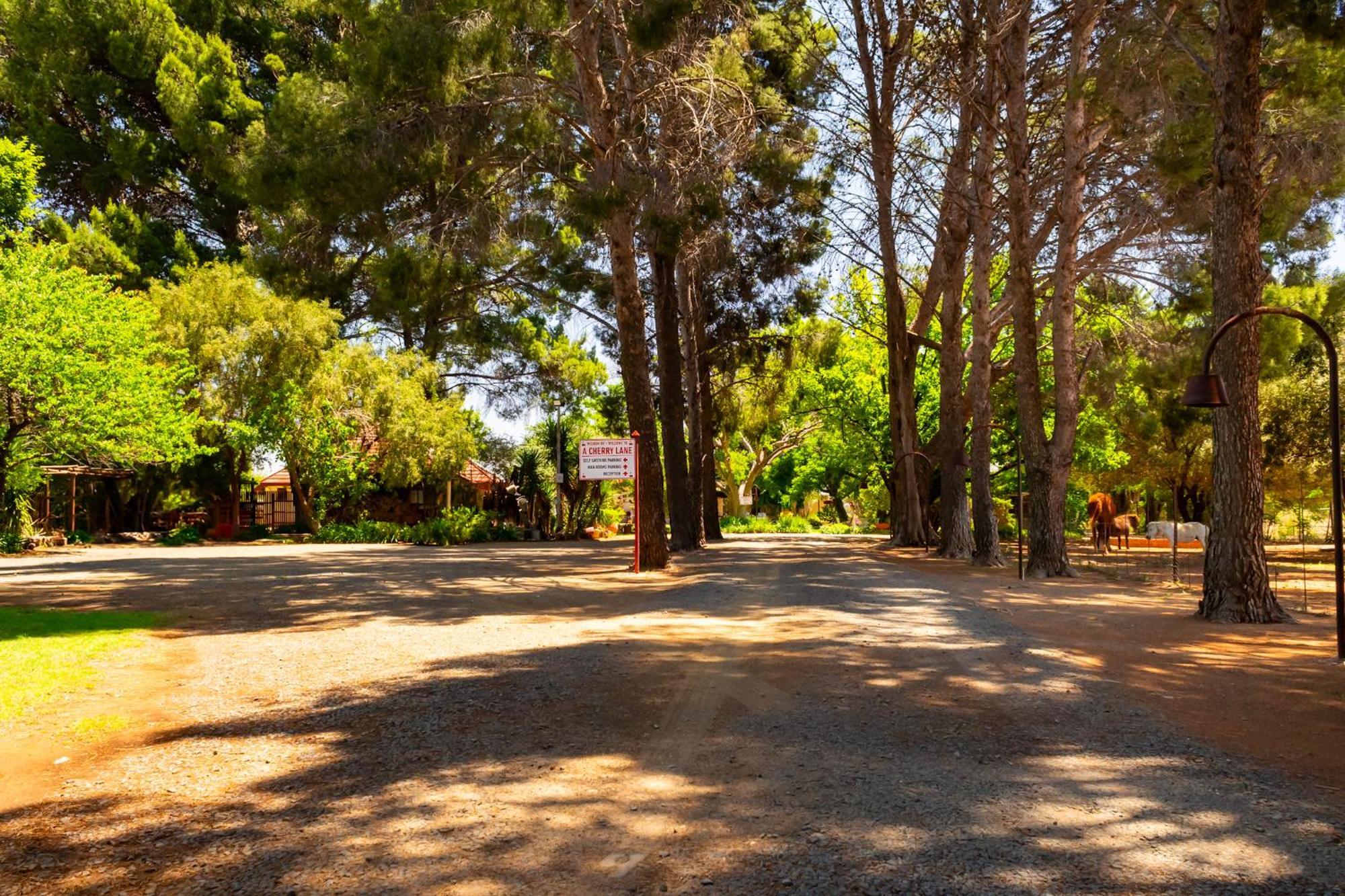 A Cherry Lane Self Catering And B&B Bloemfontein Zewnętrze zdjęcie